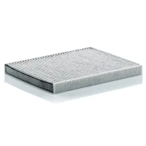 Cabin Filter M10770086