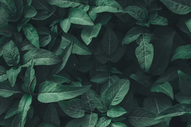 Eco-Friendly Filter Media Gains Traction in U.S. Manufacturing