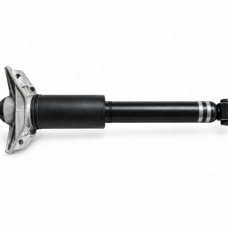 Rear Gas Shock Absorber 562106RR0E M20600787