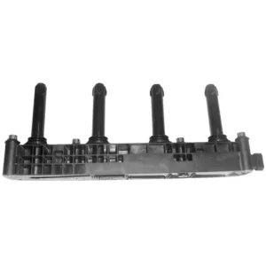 Multi-Outlet Ignition Coil 96415010 M60100667