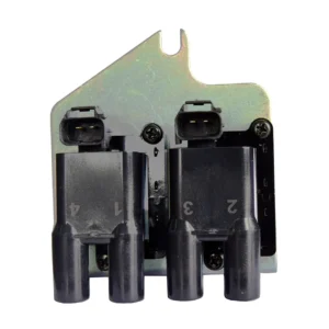 Multi-Outlet Ignition Coil DQ-6149 M60100724