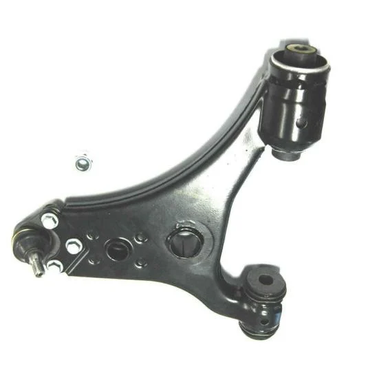 Control Arm M20100029