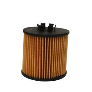 Oil Filter Element YLA-0029 M10120149